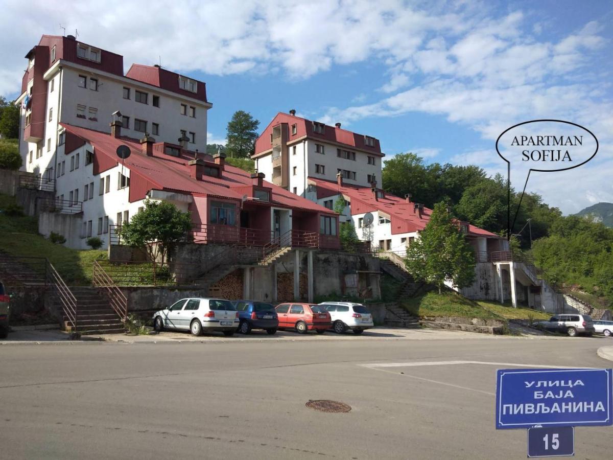 Apartman Sofija Плужине Экстерьер фото